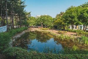 서울_일원에코파크 (5)