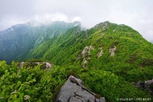 계룡산국립공원 (1)