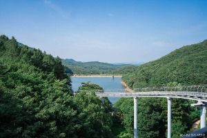 보성 가볼만한곳 보성 여름방학 가족 여행_제암산자연휴양림_1-3