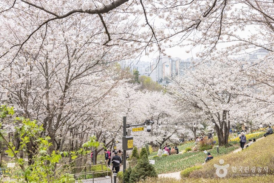 연희숲속쉼터