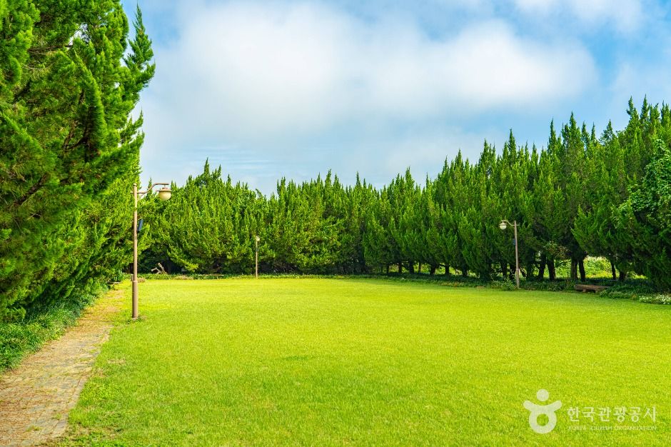 천개의향나무숲