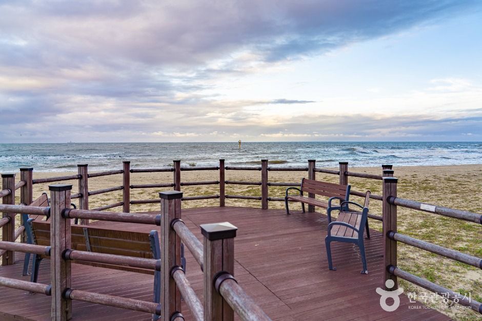 평해사구습지 생태공원