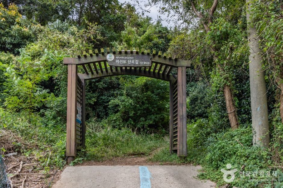비진도 산호길
