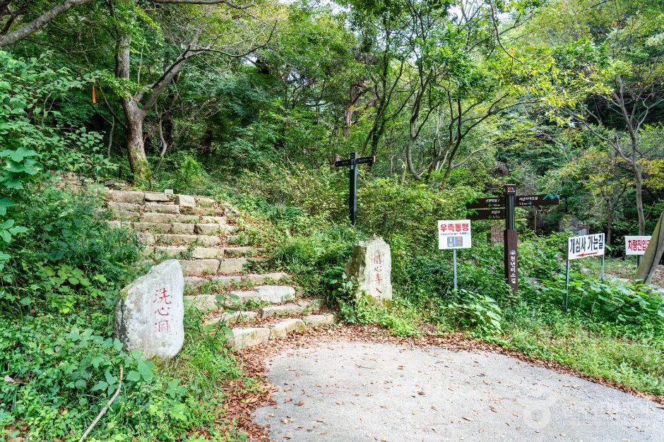 개심사 가는 길