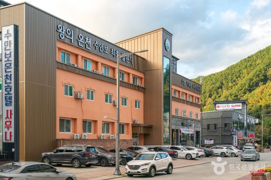 충주_수안보온천 관광특구 (6)