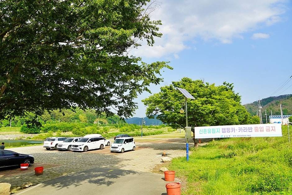 thumbnail-고령 신촌숲-1