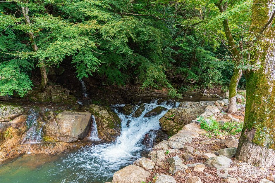 두륜산도립공원