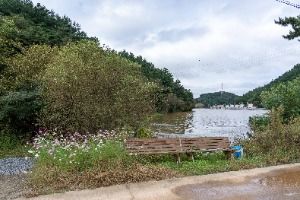 서산 덕송지 사진 1