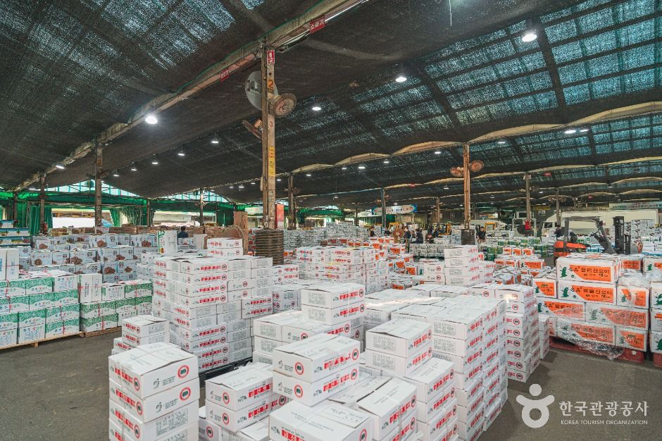 서울_가락농수산물종합도매시장 (4)