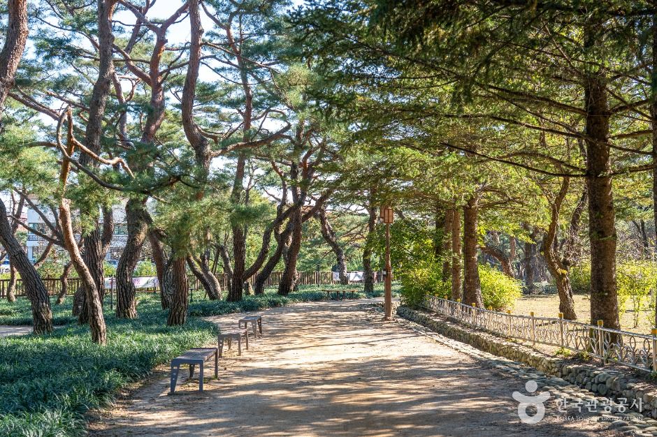 의림지 솔밭공원
