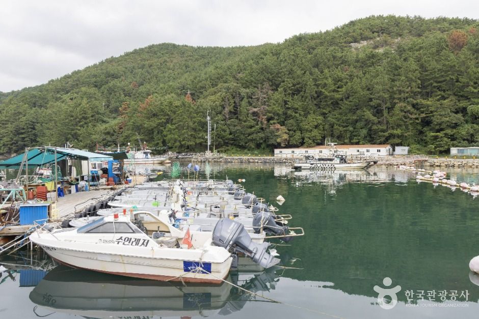 thumbnail-궁항어촌체험마을-1