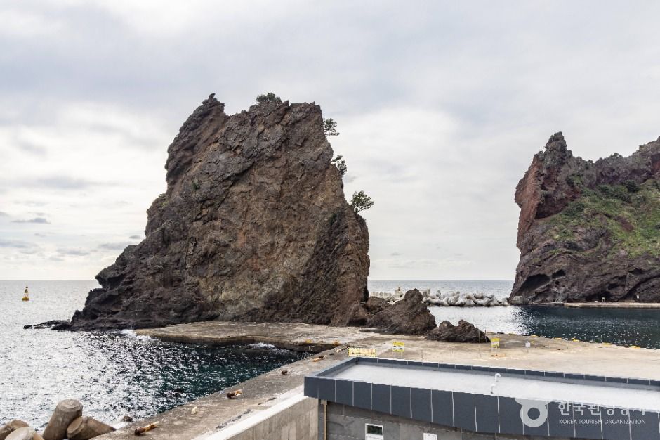 거북바위 및 향나무 자생지 (울릉도, 독도 국가지질공원)