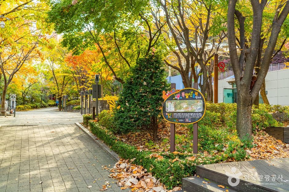 부천_부천문화둘레길-도시숲길 (2)