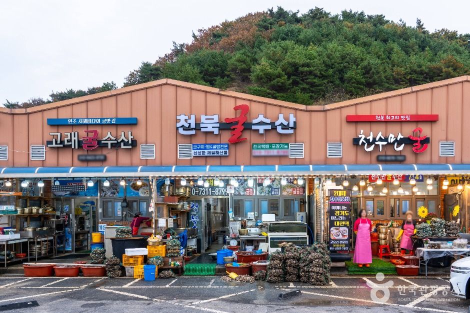 보령 천북굴단지