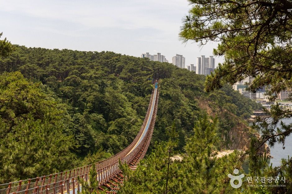 대왕암공원 출렁다리