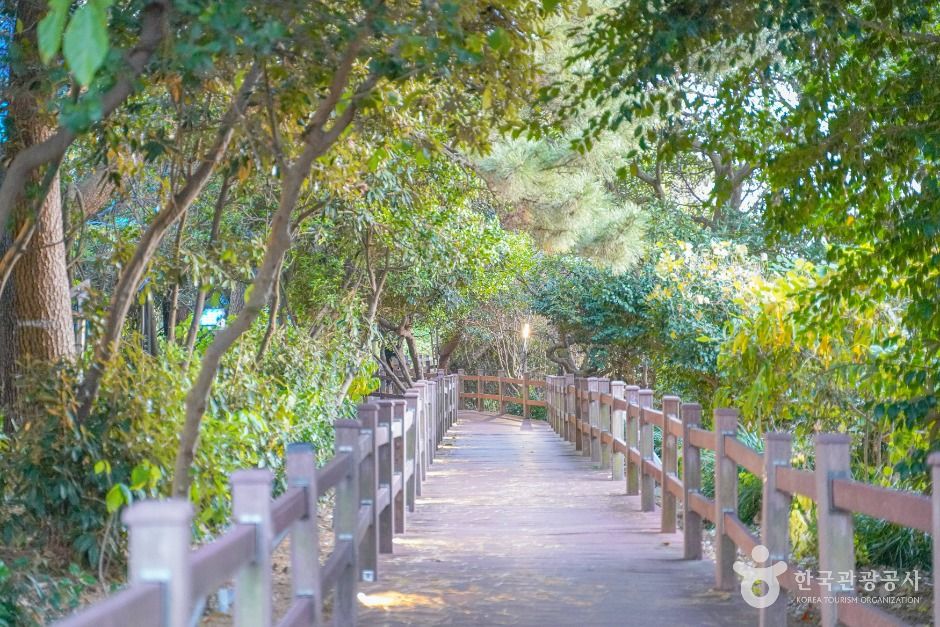 [하영올레] 1코스