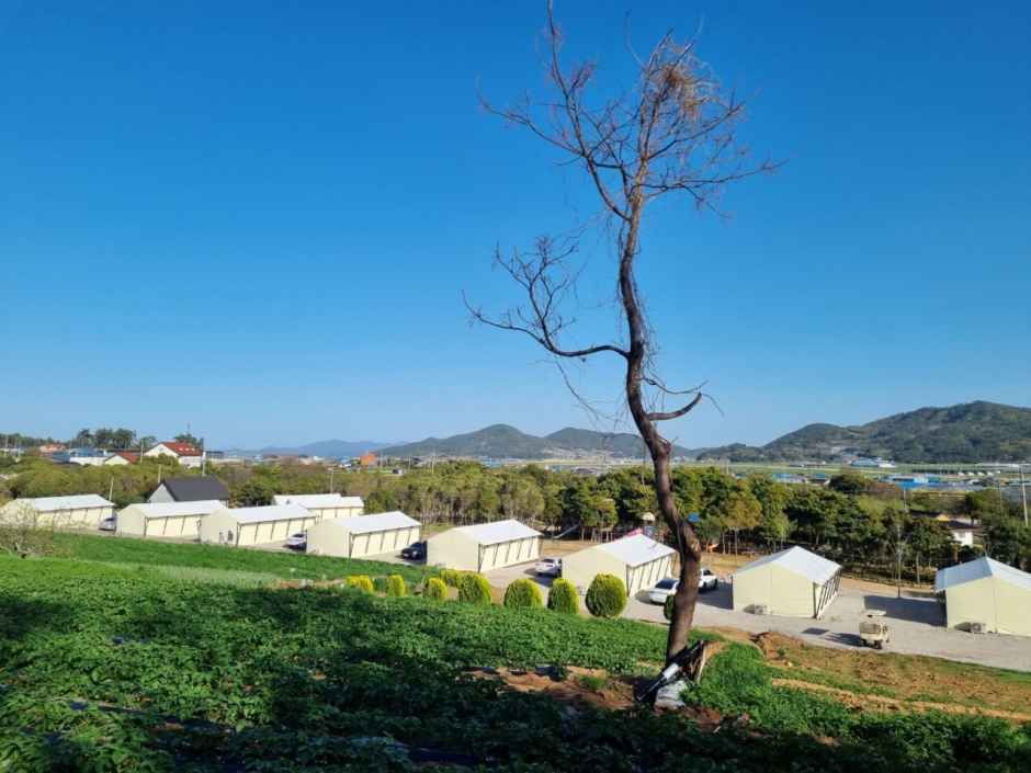 땡땡이글램핑