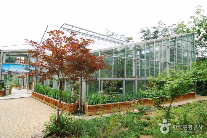 Hantaek Botanical Garden (한택식물원)
