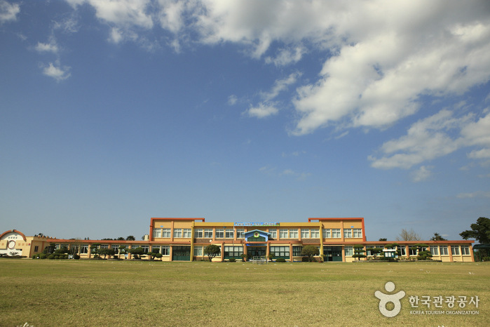 [제주올레 1코스] 시흥-광치기 올레5