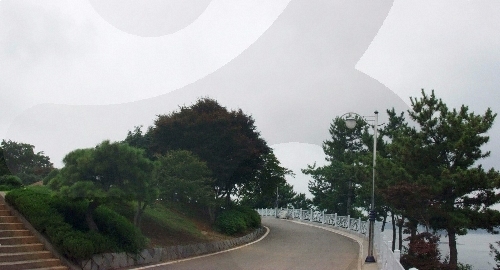 Dolsan Park (돌산공원)