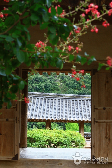 Andong Hahoe Village [UNESCO World Heritage] (안동 하회마을)