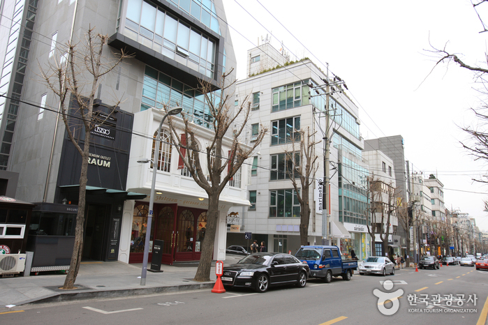 Sinsadong Garosu-gil Road (신사동 가로수길)