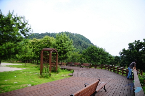 호명 이미지