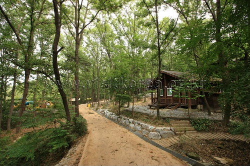 La Forêt Yeonginsan (영인산자연휴양림)