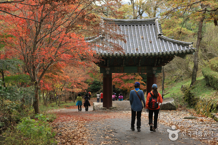 证心寺(光州)증심사(광주)0