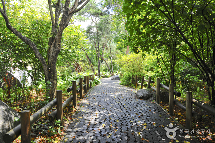 Hantaek Botanical Garden (한택식물원)