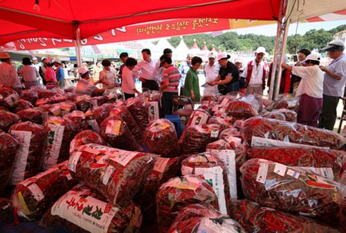 Goesan Red Pepper Festival (괴산고추축제)