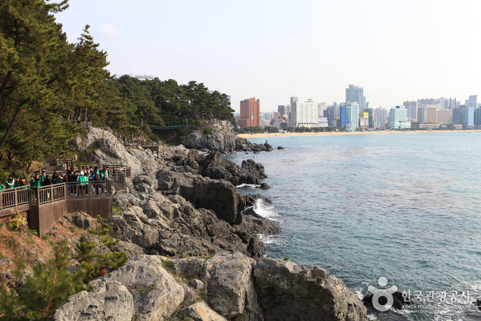 Haeundae Dongbaekseom Island (해운대 동백섬)