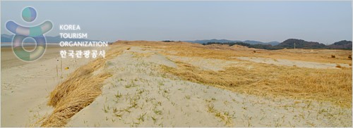 Sinduri Coastal Sand Dune (태안 신두리 해안사구)
