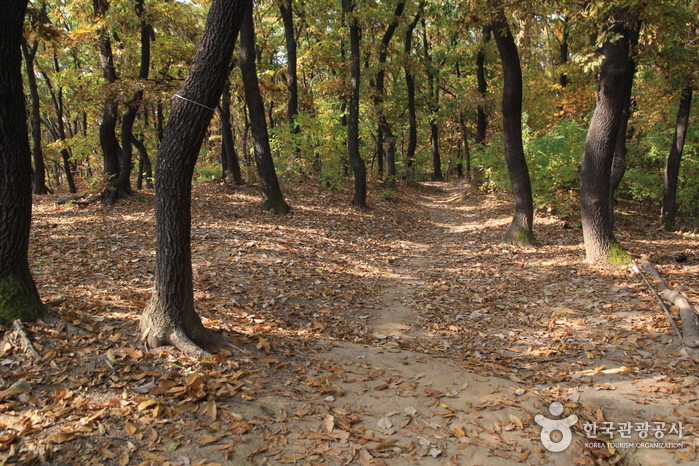 道峰山(도봉산)