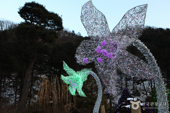 춘천 호수별빛축제 2015