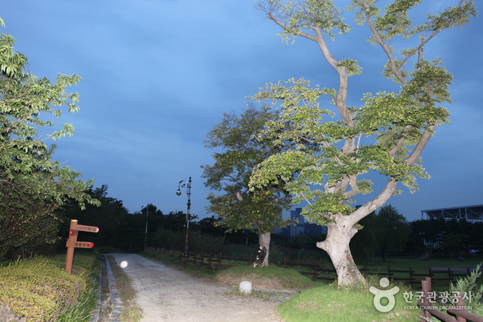 Hanbat Arboretum (한밭수목원)6