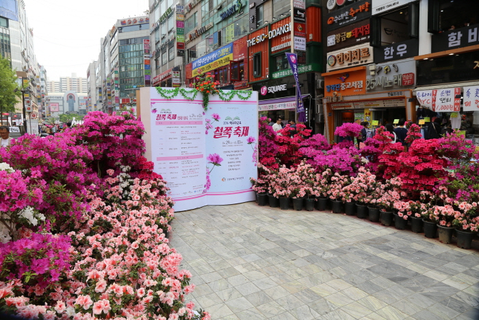 군포철쭉축제 2018  사진39