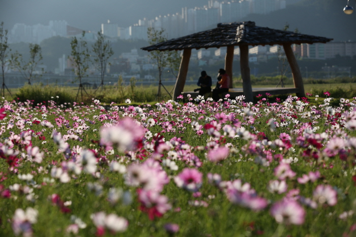 三樂生態公園(삼락생태공원)