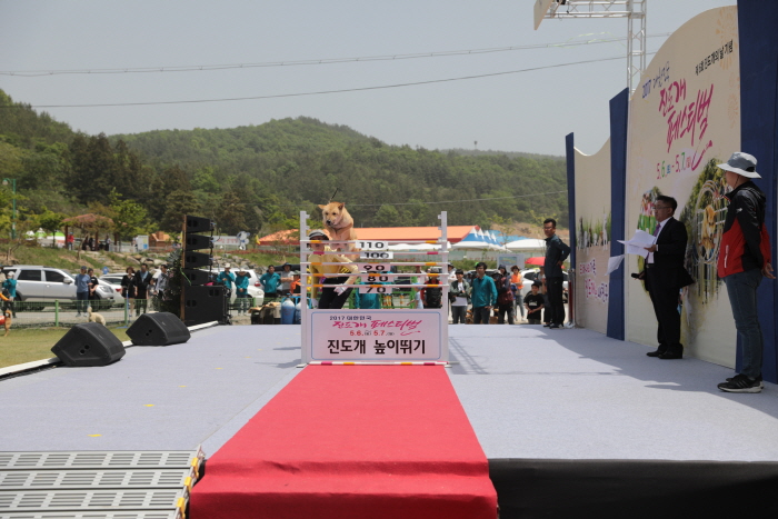 진도개 페스티벌 20209