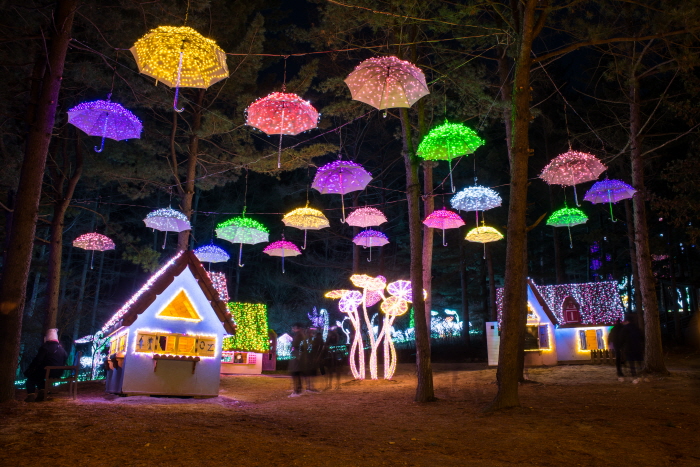 Lichterfest im Arboretum Achim Goyo (오색별빛정원전)