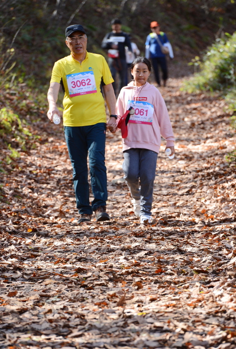 하이원 하늘길 트레킹 페스티벌 20194