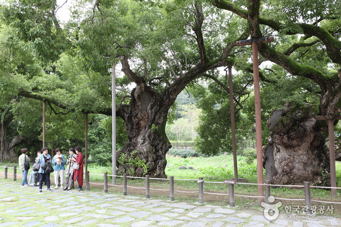 Eco-parc du lac de Gwangjuho (광주호 호수생태원)