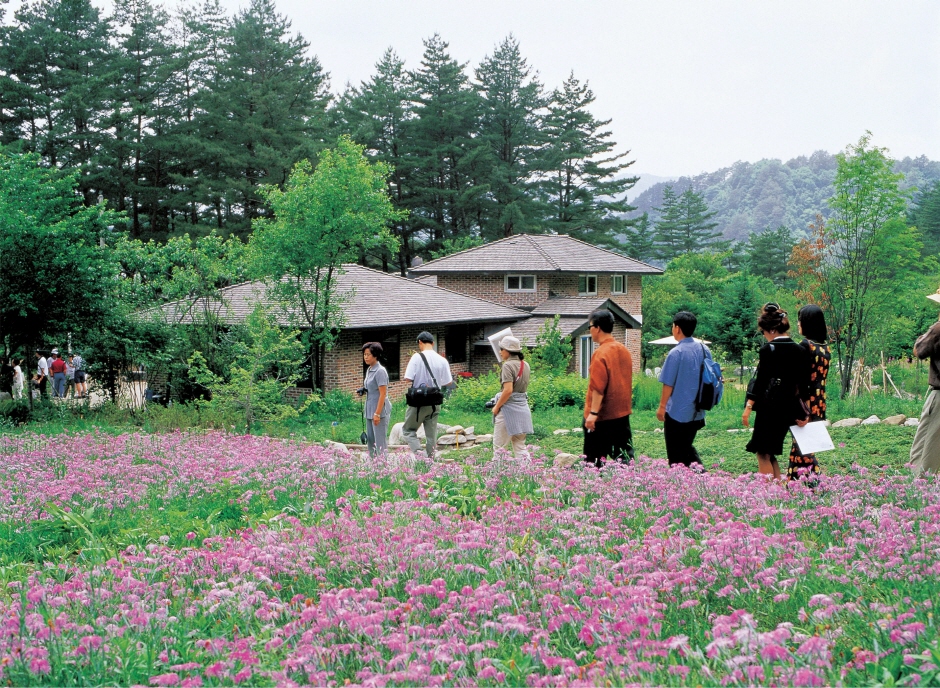 Jardín Botánico de Plantas Nativas de Corea (한국자생식물원)