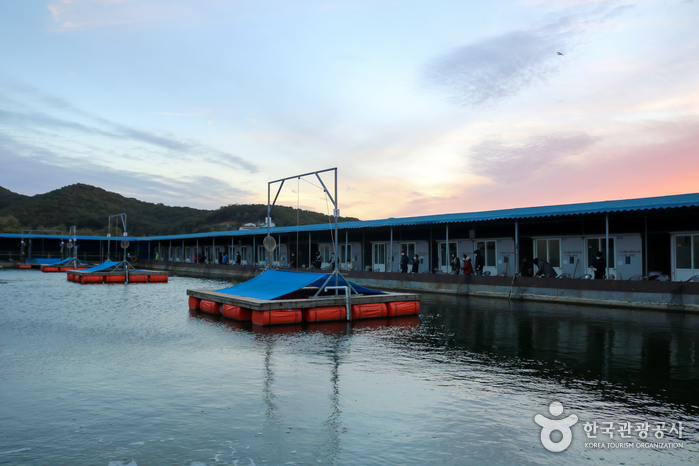 만정사계절바다낚시터2