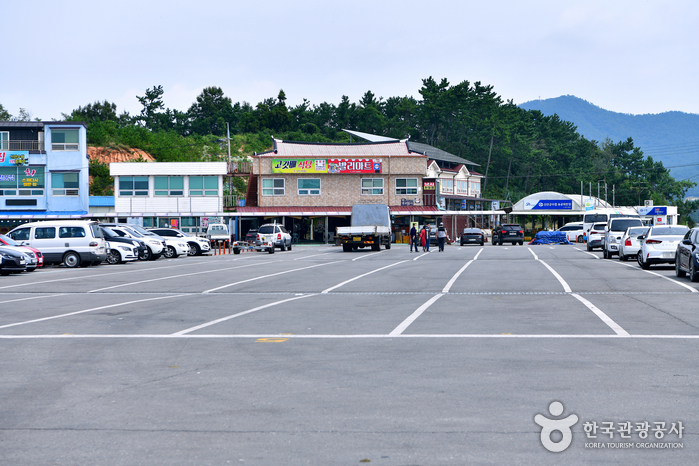 송공여객선터미널0