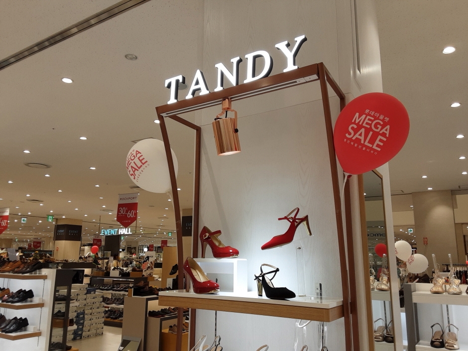 [事後免税店] TANDY（タンディ）・ナマク（南岳）店（텐디남악점）