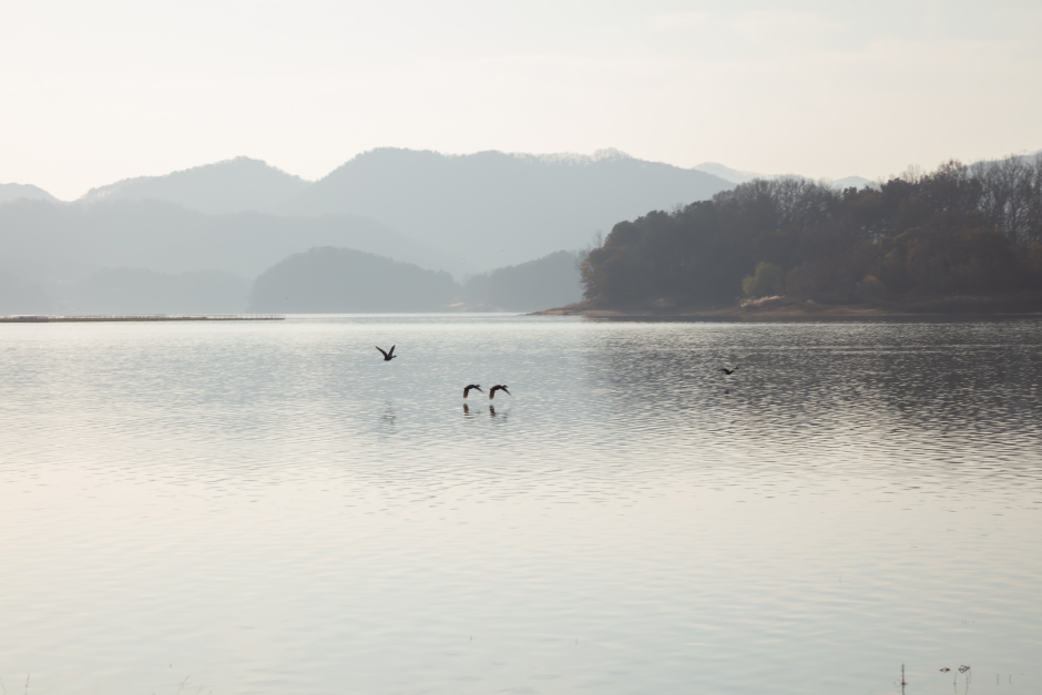 Lago Daecheong (대청호)