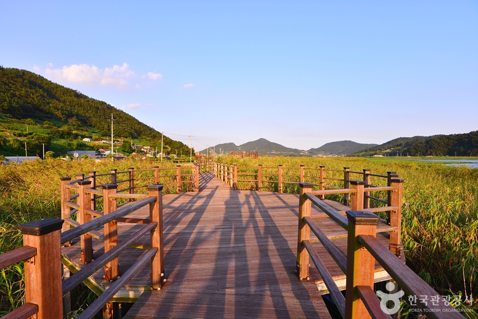 Yeosu Gasari Ecology Park (여수 가사리 생태공원)
