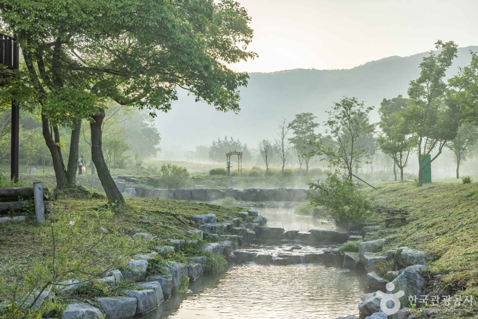 고창 운곡람사르습지