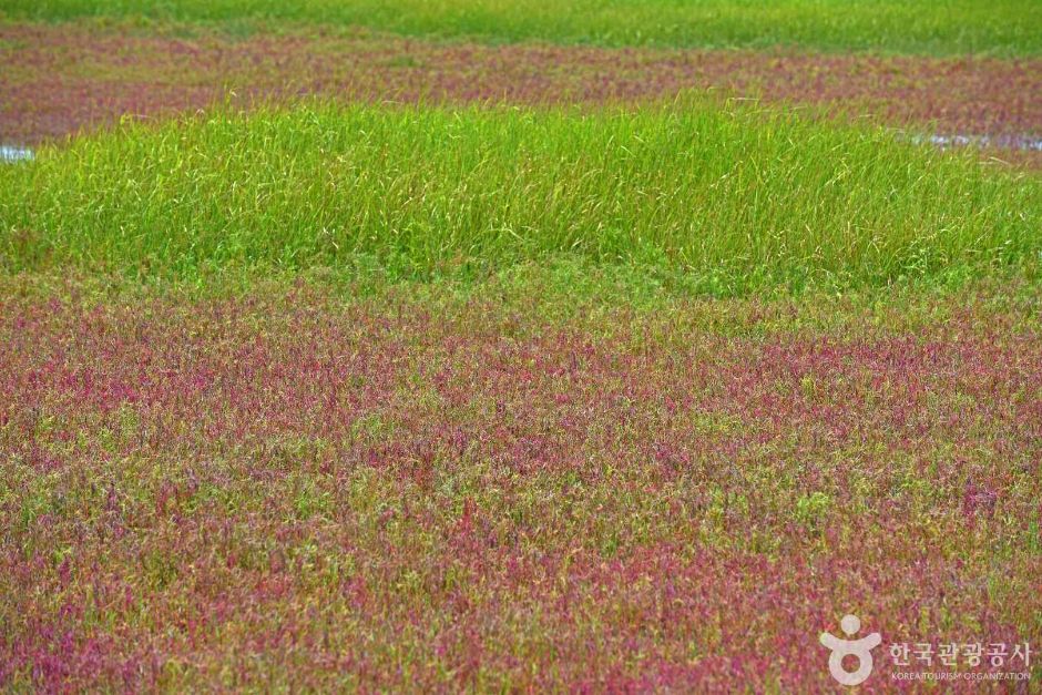 태평염생식물원